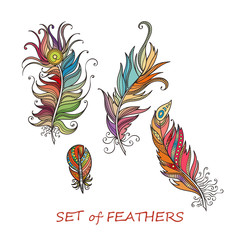 Fototapeta na wymiar Ornate Set of Stylized and Abstract Feathers.
