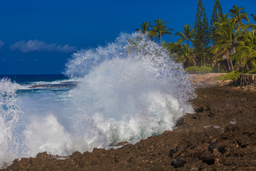 Fototapeta na wymiar Sea waves crashing against the rocks at tropical beach with palm trees in pacific island