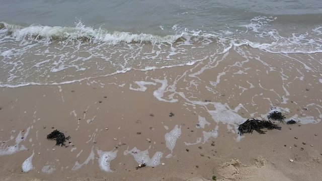 Strandsand mit Algen auf Amrum 