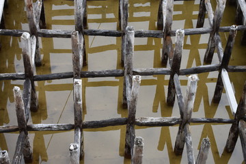 La base del agua salada