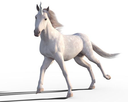 Fototapeta 3d render of white stunning unicorn horse isolated on white background