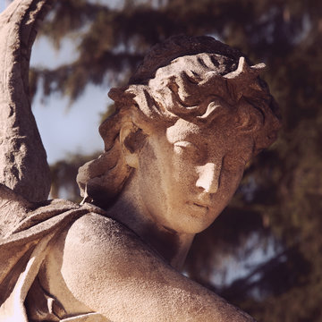golden angel in the sunlight , Ukraine, Lviv, Lychakiv cemeterie