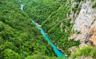 Tara river canyon, Montenegro - obrazy, fototapety, plakaty