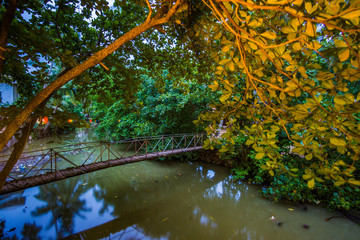 Bridge over a river in the jungle