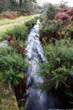 Devonport Leat, old channel carrying water, Dartmoor England.