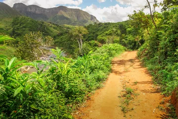 Foto op Canvas Jungle path in Masoala park © Pav-Pro Photography 