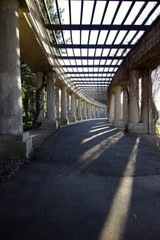 piękna wrocławska pergola jesienią © Konrad_elx