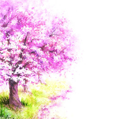 Obraz na płótnie Canvas Sakura Tree
