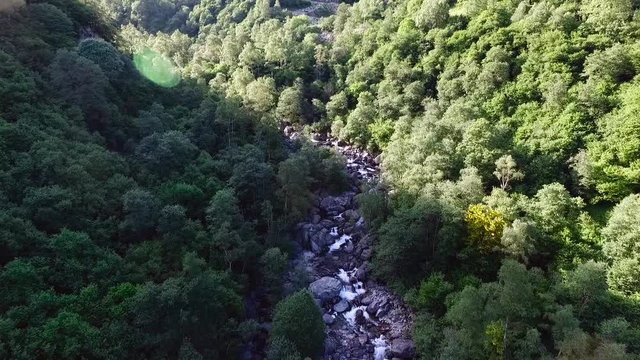 ripresa aerea panoramica tra gole delle montagne sopra al torrente con acqua che scorre sulle rocce, giornata soleggiata di primavera.