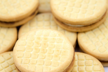 Shortbread biscuits on a white background