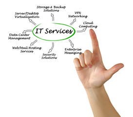 IT  Services