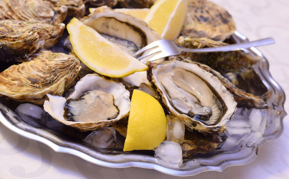 Raw oysters part of lemon and ice cube