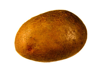 Fototapeta premium Single potato isolated on white