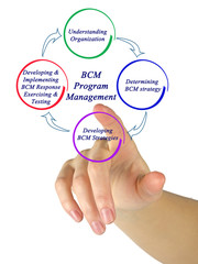  BCM  Program Management