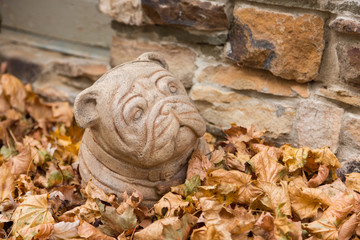Bulldog Statue Covered In Fall Leaves