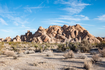 Joshua Tree National Park at Sunset