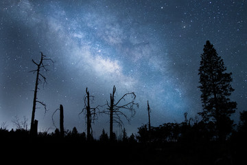 Starry Night Sky Milky Way