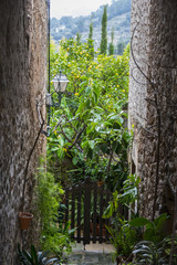 rustic, flowerpots street in the tourist island of Mallorca, Val
