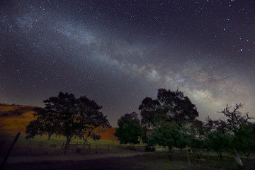 Fototapeta na wymiar Starry Night Sky Milky Way