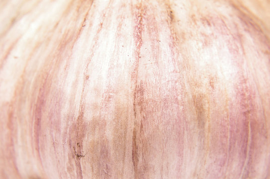 Garlic peel texture pattern macro close up