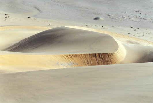 The Dune in Sossusvlei plato of Namib Naukluft National Park - Namibia, South-West Africa