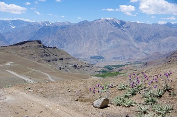 Landscape in Ladakh, India