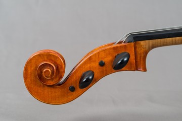 Violoncello Schnecke