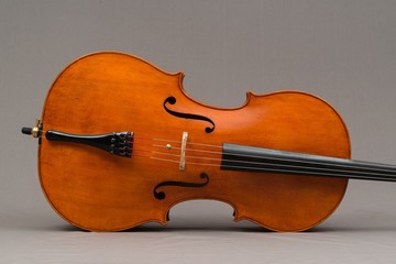 Violoncello Bauch in Fichte