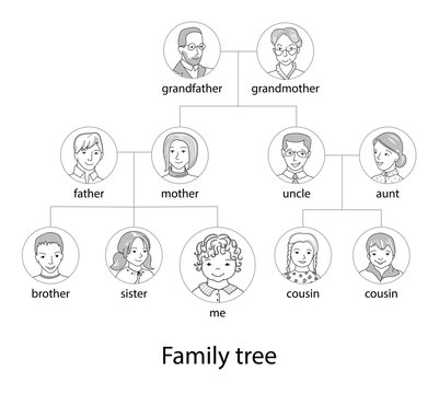 Family tree chart thin line style vector