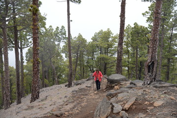 Fototapeta premium Wandern am Pico Bejenado, La Palma
