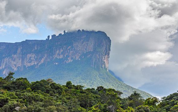 The tepui on Carrao river near lagoon of Canaima national park - Venezuela