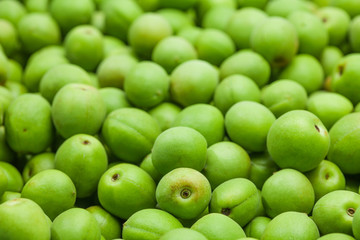 Background of korean green plum fruits
