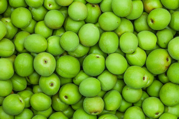 Background of korean green plum fruits