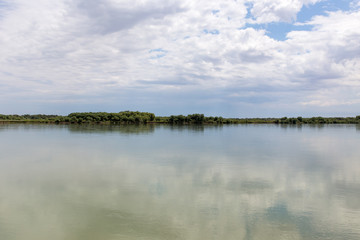 Beautiful nature on the river Syr Darya. Kazakhstan