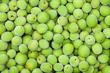 Background of korean green plum fruits 