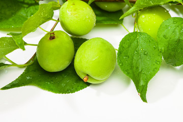 Green plum korean fruits on a white