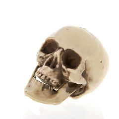 Human skull isolated over white background