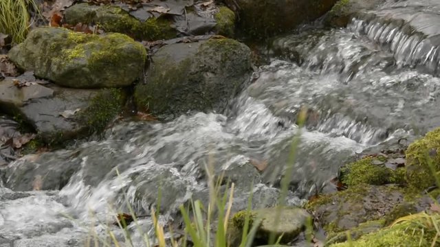 Mountain creek, stream, small waterfall (cloudy), stones, moss, grass- flowing running water background