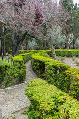 Labyrinth of green shrubs in the city of Valldemossa in the Bale