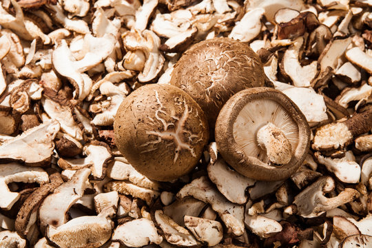 Shiitake mushrooms sliced to cook