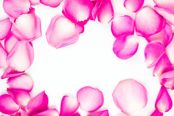Obraz na płótnie Canvas Petals of pink rose