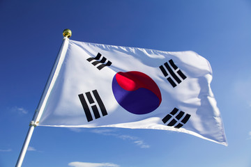 Swaying Flag of South Korea