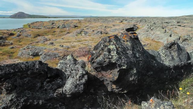 Volcanic rocks on the shore of the Myvatn volcanic lake in Iceland.
