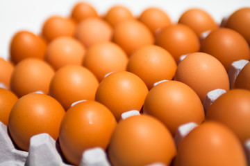 Full Eggs in the package 