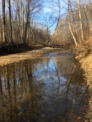 water reflections in creek in winter