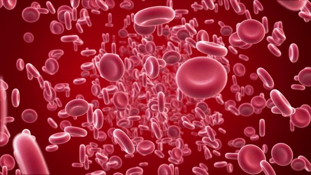 Beautiful Flying through realistic blood vessel with blood cells, HD 1080, seamless CG animation.