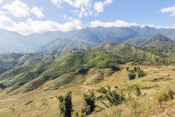 Fototapeta na wymiar Sapa valley in Vietnam