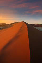 Naklejka na ściany i meble Morning light on the huge dune of sossusvlei in the namibian park of sessriem.