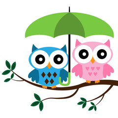 Two Owls sitting on the branch with green umbrella