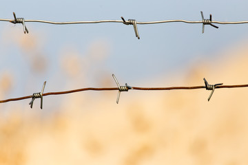 barbed wire on nature